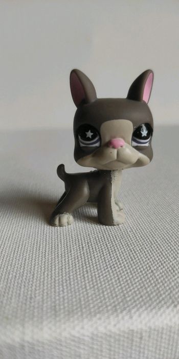 My littlest petshop chien Boston terrier 958
