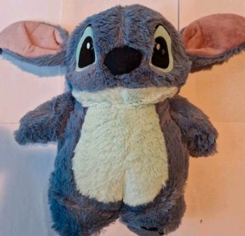 Bouillotte Stitch