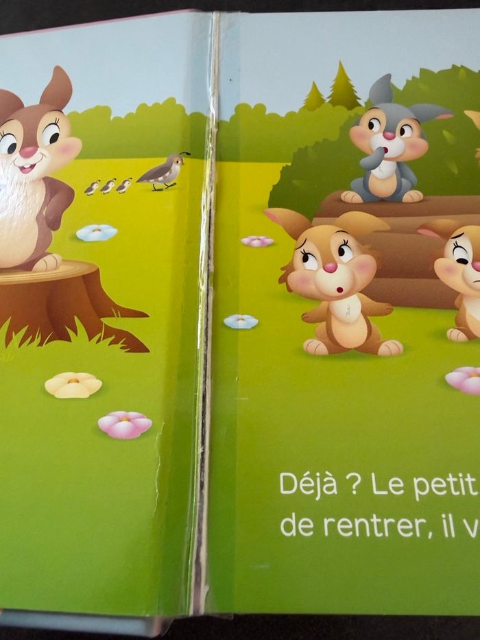 Livre bébé - photo numéro 8