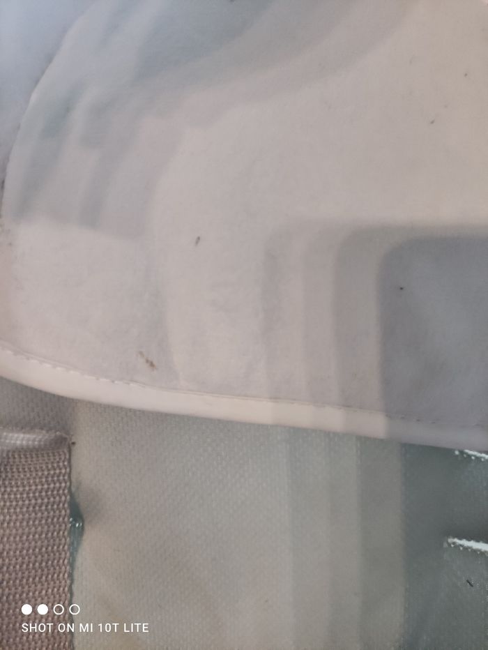 Balancelle - photo numéro 4