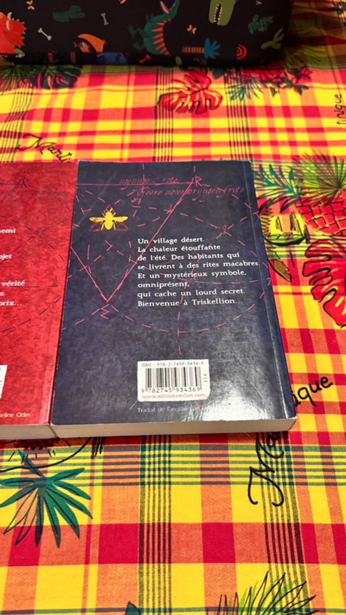 Lot de 2 livres Triskellion – Will Peterson – Suspense jeunesse captivant ! - photo numéro 6