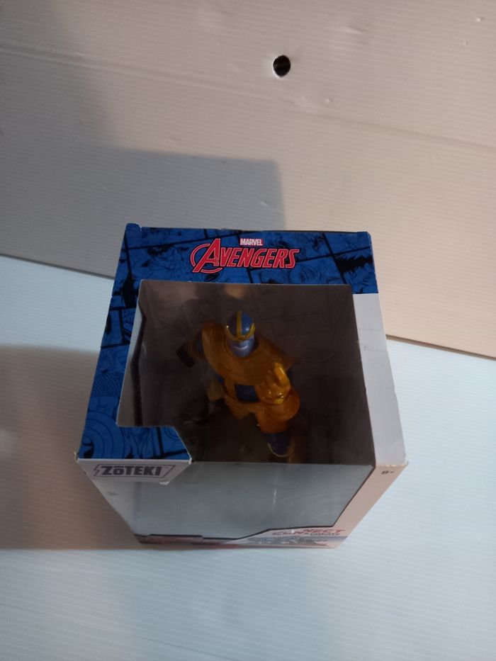 Zoteki thanos - photo numéro 6