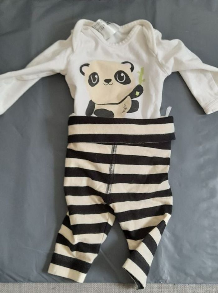 Ensemble panda