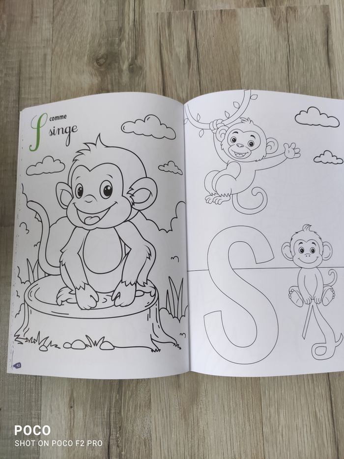 Coloriage - photo numéro 4