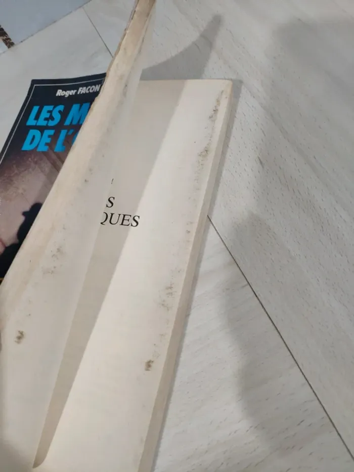 Livre grand format les meurtres de l'occulte Parent Façon témoignage sociétés secrètes - photo numéro 12