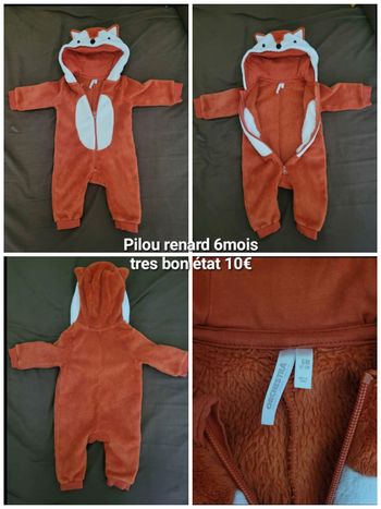 Pilou renard 6mois orchestra