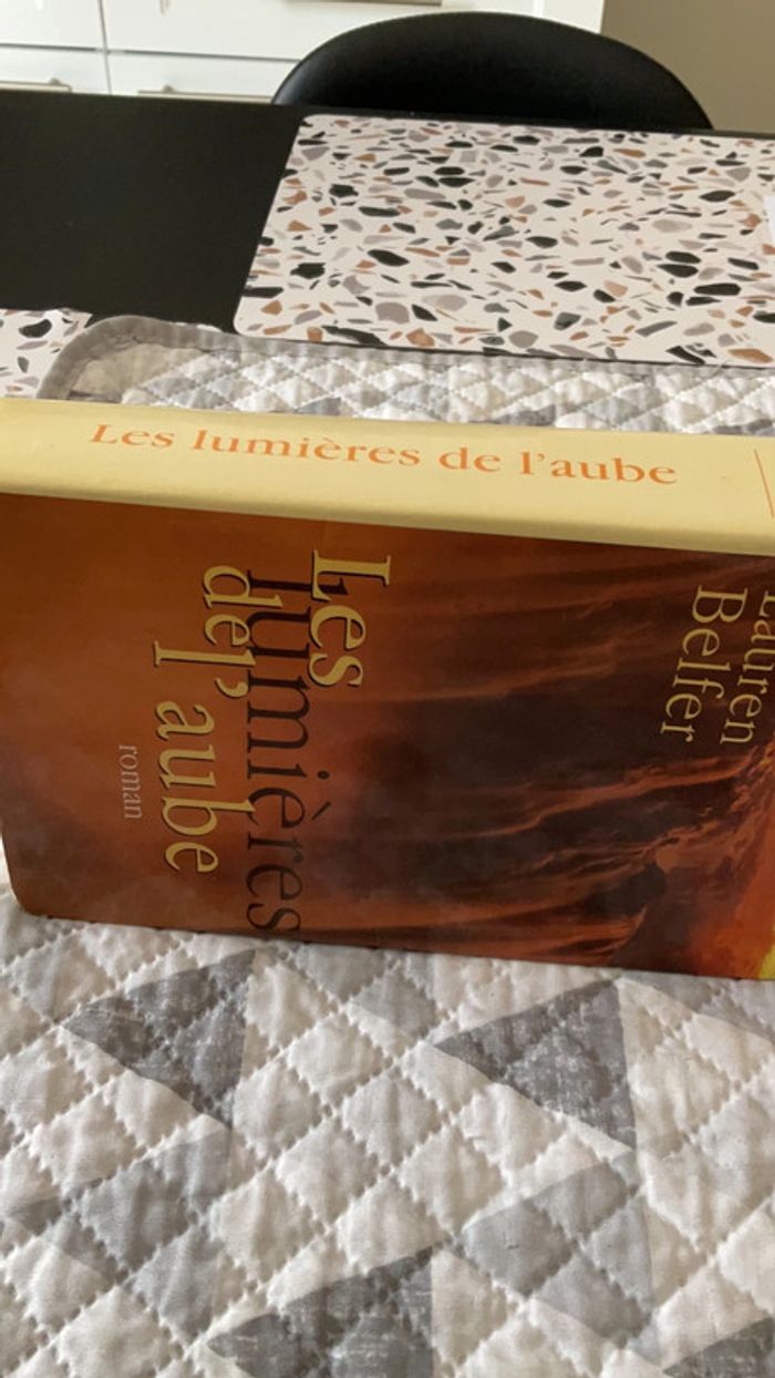 # les lumières de l’aube Lauren Belfer - photo numéro 4