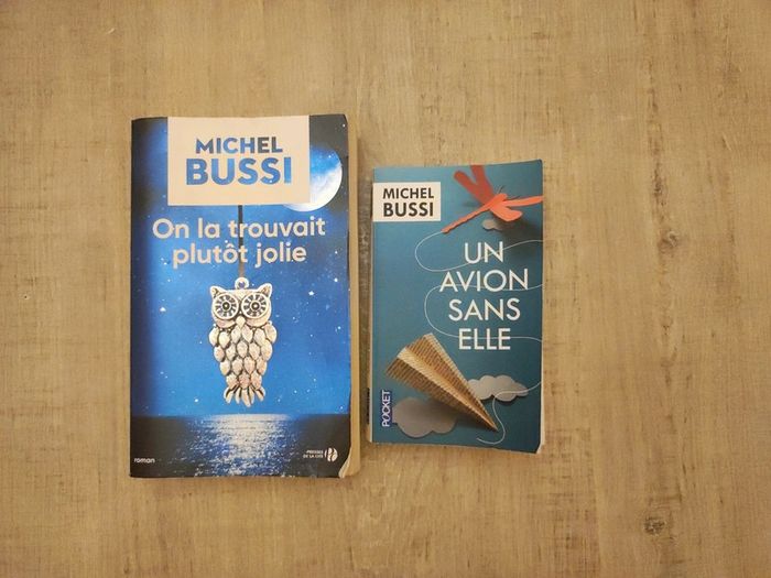 On la trouvait plutôt jolie,un avion sans elle