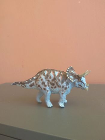 Triceratops Safari