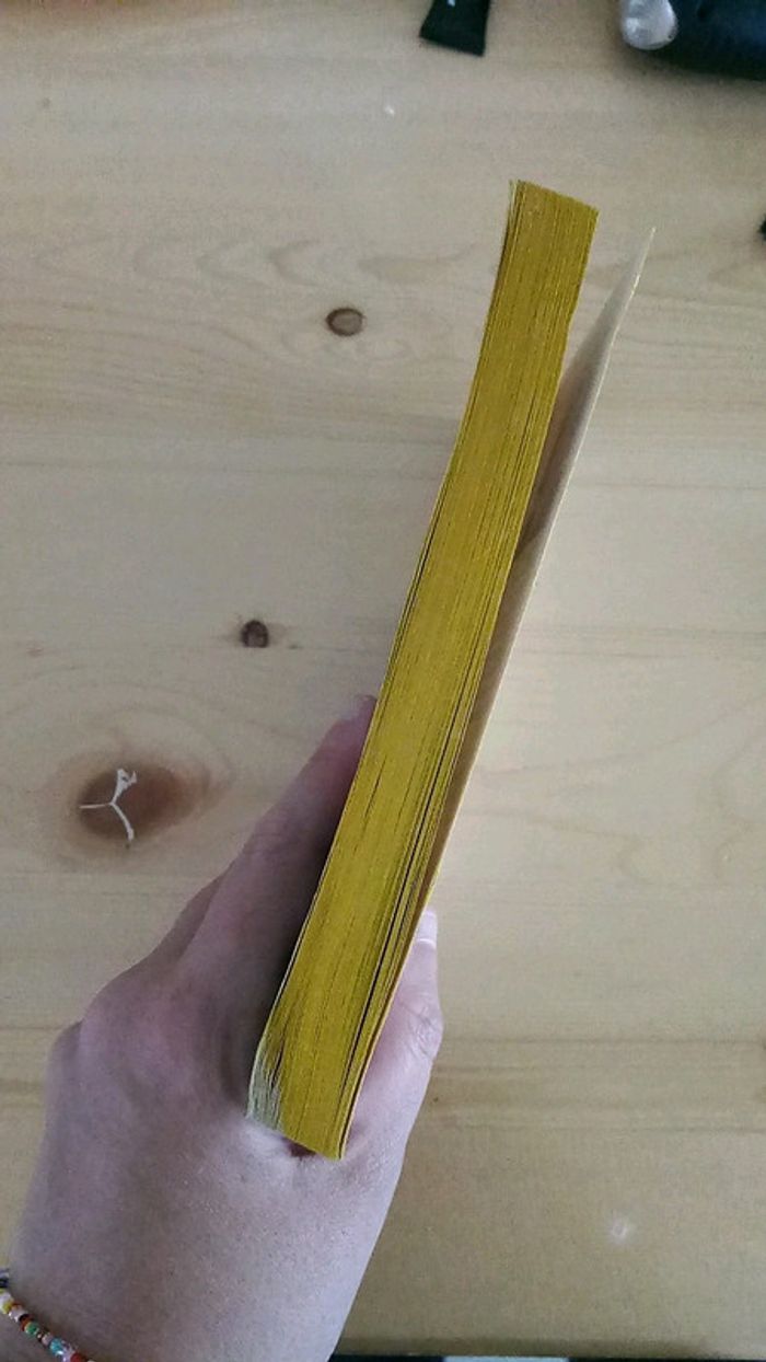 Livre Nous n'irons plus au bois - photo numéro 4