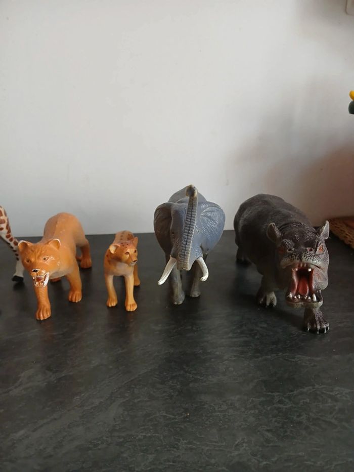 Lot animaux - photo numéro 3