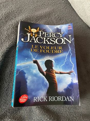 livre Percy Jackson : le voleur de foudre (1)