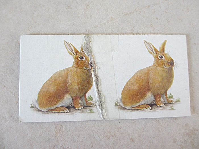 Jeu de dominos (28 cartes) : Les animaux de la ferme – Ravensburger - photo numéro 5