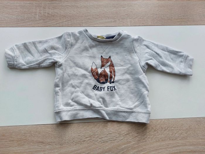 Pull Baby fox