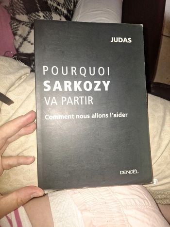Pourquoi Sarkozy va partir livre