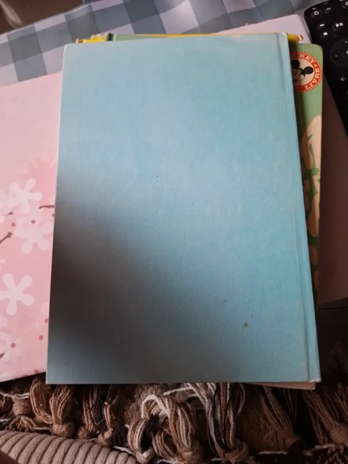 Hiawatha le petit indien - photo numéro 2