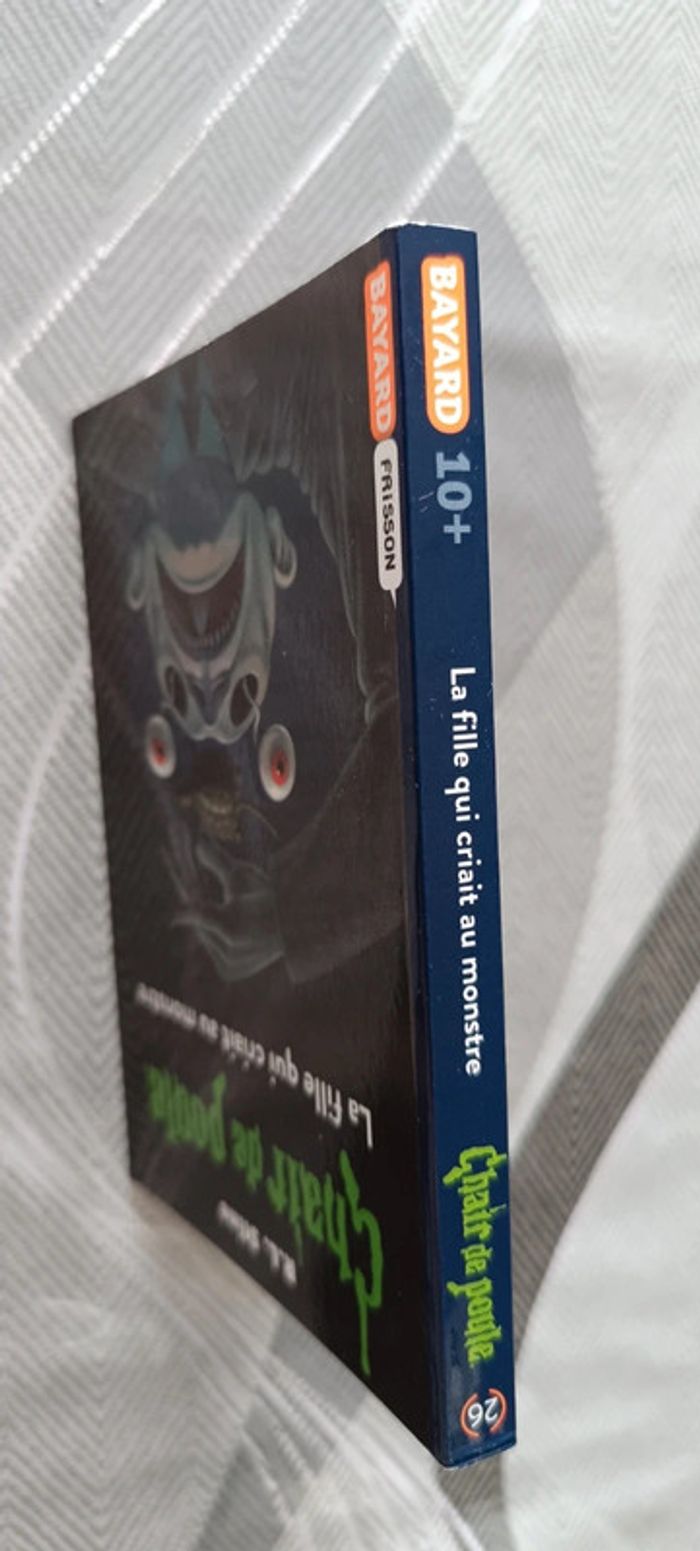 Livre chair de poule - photo numéro 3