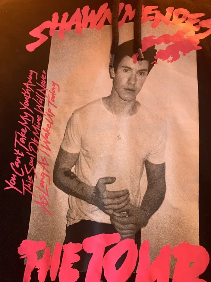Sweat Shawn Mendes Divided H&M - photo numéro 4