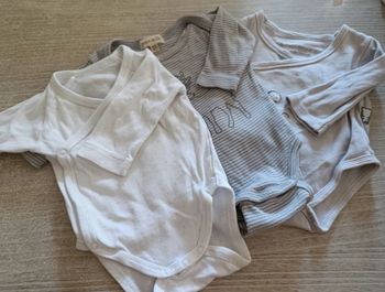 Bodies
