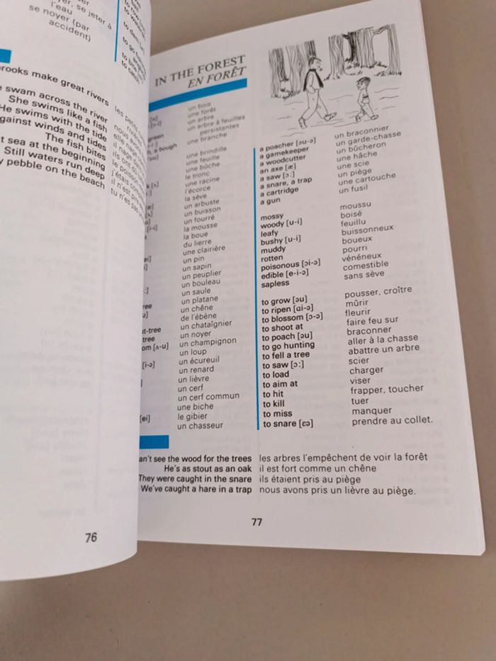 What you must now vocabulaire anglais-français - photo numéro 11