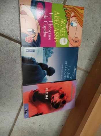 Lot de trois livres romance chicklit