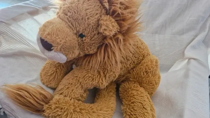Lion jellycat - photo numéro 2