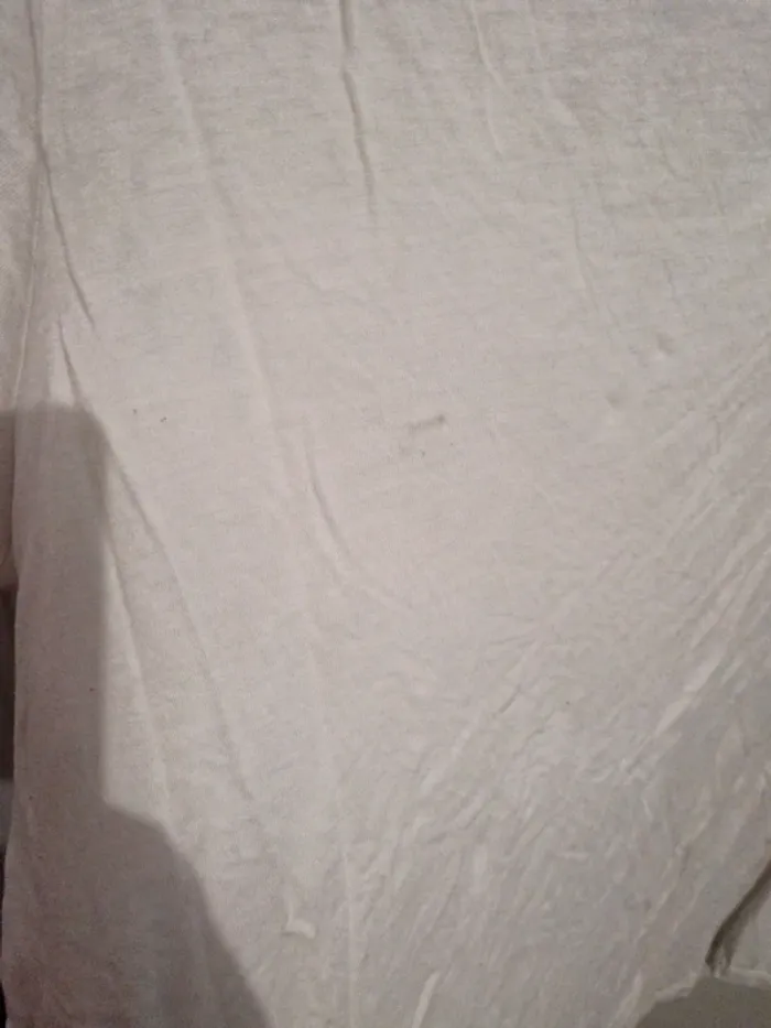 Tshirt 3 - photo numéro 3