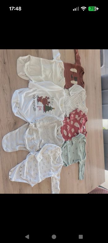 Lot Bodies 