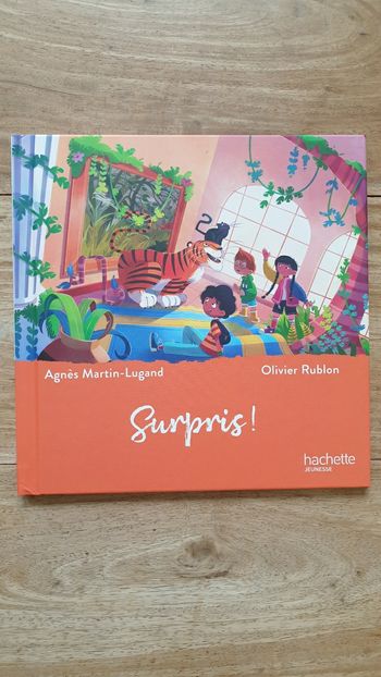 Neuf livre enfant Hachette Jeunesse sur le thème de l art  "Surpris!" D Henry Rousseau