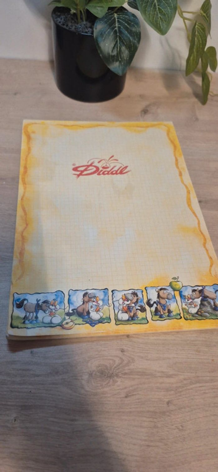 Carnet de feuilles diddl