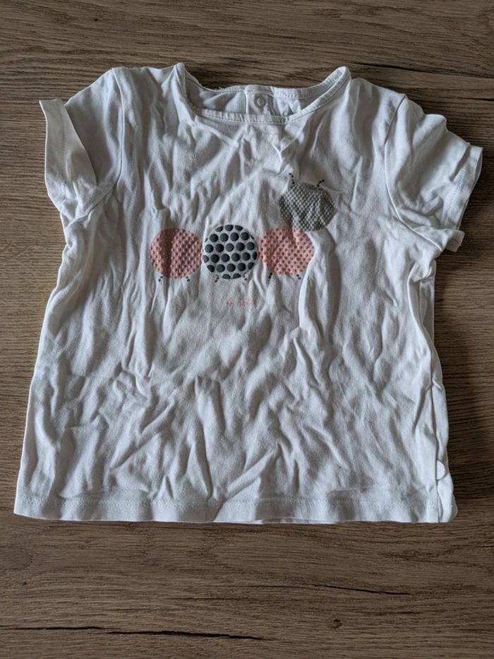 Lot de 3 T-shirts manche courte Taille 18 mois - photo numéro 2