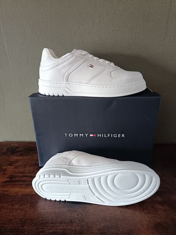 Basket tommy Hilfiger 