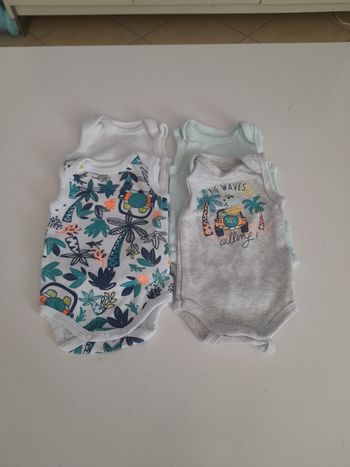 Bodies