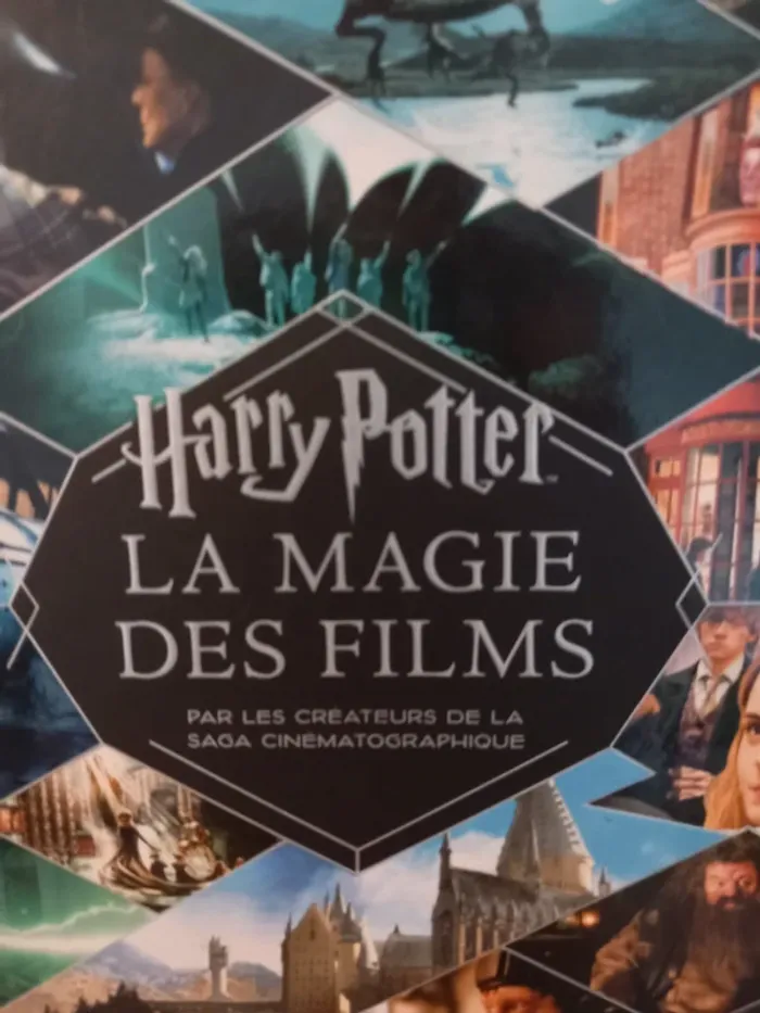 Livre Harry Potter la magie des films - photo numéro 3