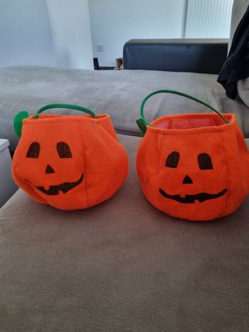 2  sacs citrouilles