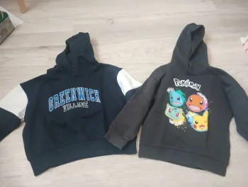 Lot 2 sweat à capuche