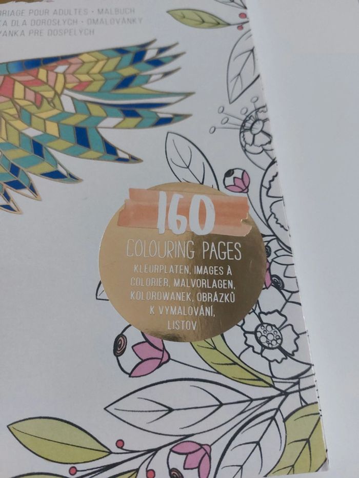 Livre coloriage pour adulte anti stress - photo numéro 2