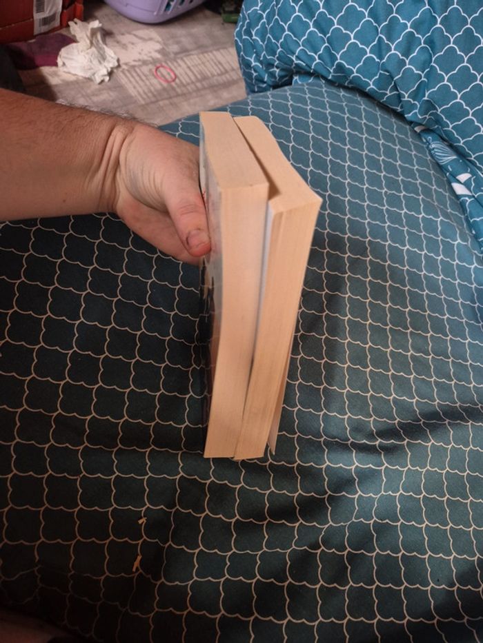 Lot de 2 livres de Laure Manel - photo numéro 5