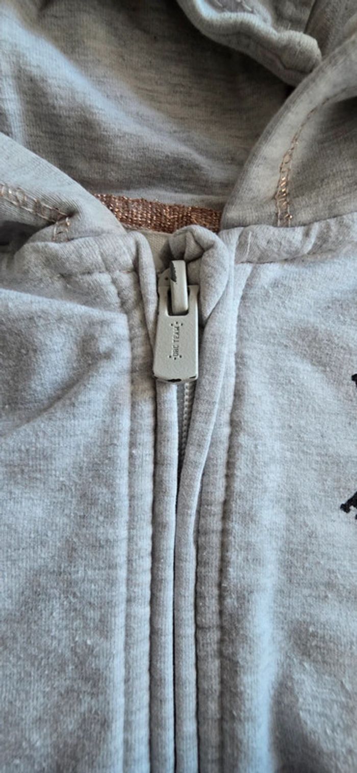 Sweat a capuche zippée 5 ans - photo numéro 2