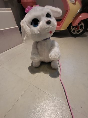 Chien