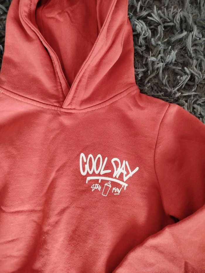 Sweat capuche npo 3ans - photo numéro 2