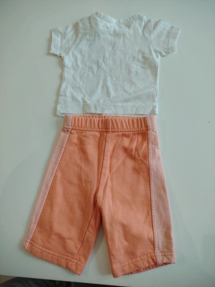 Ensemble - photo numéro 2