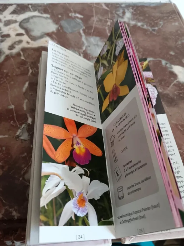 Larousse orchidées - photo numéro 3