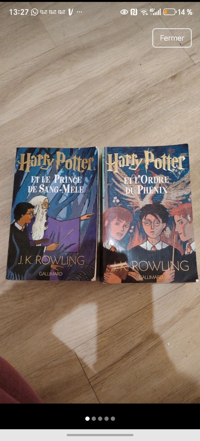 Lot de 2 livres Harry Potter