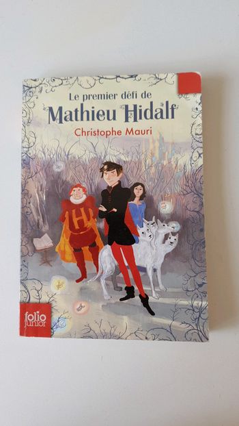Livre Mathieu Hidalf
