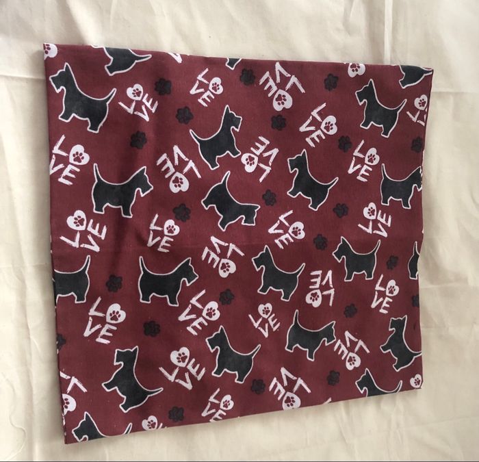 sac a tarte - photo numéro 2