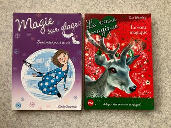 Lot de 2 livres jeunesse PKJ à partir de 7 ans (2€20)