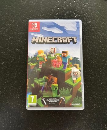 Minecraft Nintendo switch 