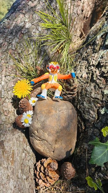 Super figurine Pokemon Nintendo Simiabraz