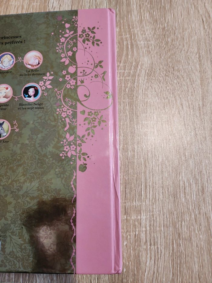 Livre histoire Princesse - photo numéro 11